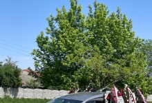 Casa Funerara Izvoru Parastase si Pomeni Izvoru - AGENTIA FUNERARA DAMASC