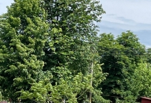 Casa Funerara Costesti Articole Servicii Funerare Costesti - AGENTIA FUNERARA DAMASC