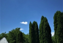 Casa Funerara Albota Articole Servicii Funerare Albota - AGENTIA FUNERARA DAMASC